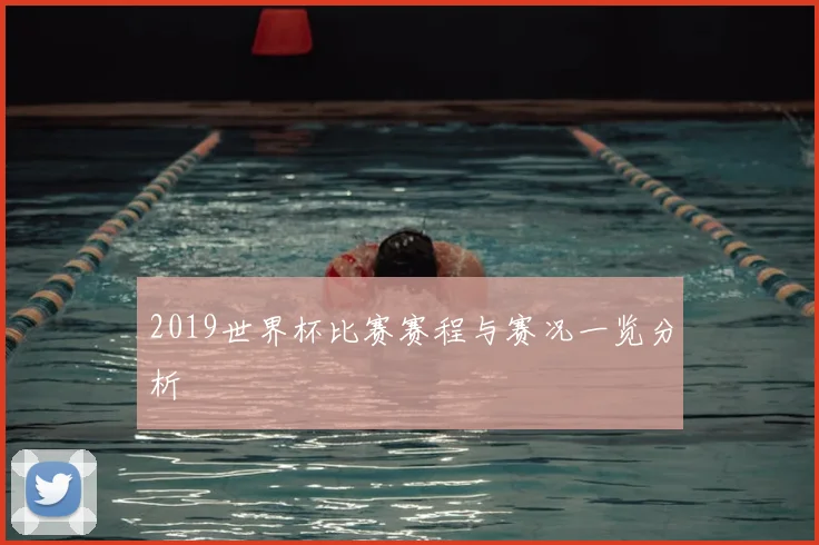 2019世界杯比赛赛程与赛况一览分析