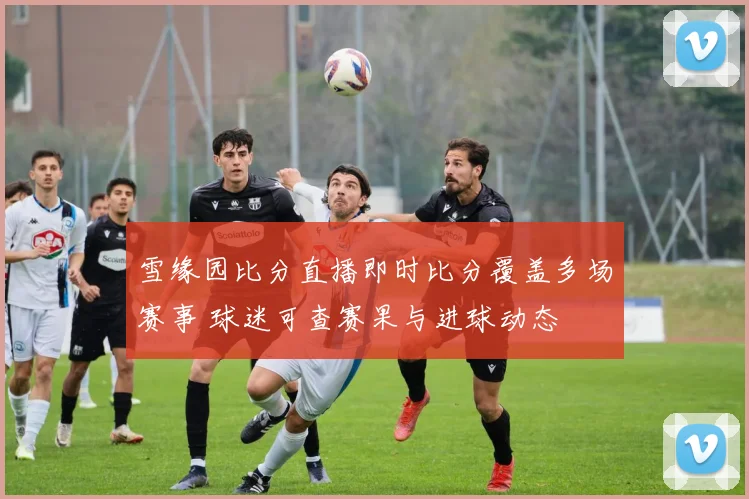 雪缘园比分直播即时比分覆盖多场赛事 球迷可查赛果与进球动态